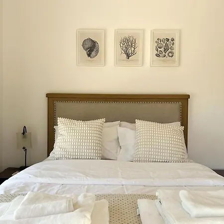 Villa Tamara With Private Pool